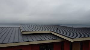 Best Roof Waterproofing  in Murray, UT